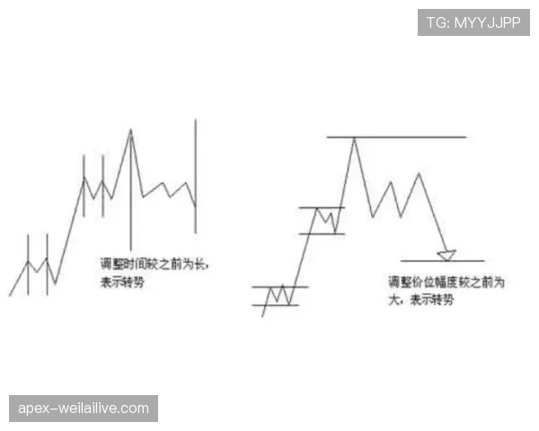 界外判定规则详解：关键判罚标准与实际应用场景解析
